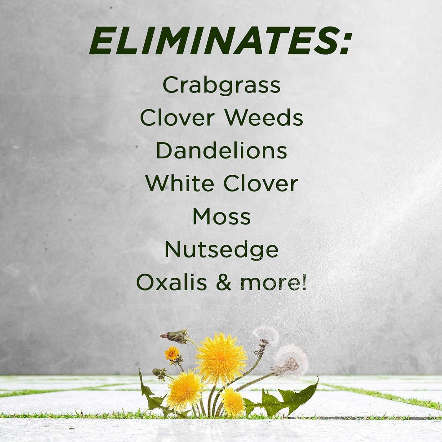 imageGreen Gobbler 20 Vinegar Weed ampamp Grass Killer  Natural ampamp Organic  Concentrated  1 Gallon Spray  Glyphosate Free Herbicide1 Gallon With Trigger