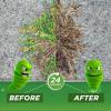imageGreen Gobbler 20 Vinegar Weed ampamp Grass Killer  Natural ampamp Organic  Concentrated  1 Gallon Spray  Glyphosate Free Herbicide1 Gallon With Trigger