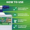imageGreen Gobbler Mold ampamp Mildew Stain Remover  Outdoor Cleaner Hose End Sprayer  Removes Tough Stains Caused by Algae Mold ampamp Mildew  Safe for Siding Brick Concrete Wood ampamp More 64 oz  2 Pack64 Fl Oz Pack of 2