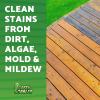 imageGreen Gobbler Outdoor Cleaner Concentrate  Mold ampamp Mildew Stain Remover  Safe for Siding Brick Concrete Wood ampamp More  PhosphateFree Low Salt Formula Safe Near Plants 1 Gallon  2 Pack