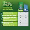 imageGreen Gobbler Septic Tank Enzyme Treatment Packets 6 Month Supply  Powerful ampamp Natural Bacteria to Prevent Costly Septic Issues BackUps213 Ounce Pack of 4